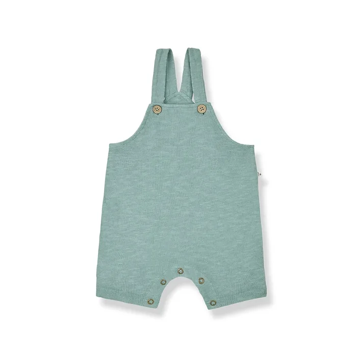 1+ in the family Rocco Overalls – Shark