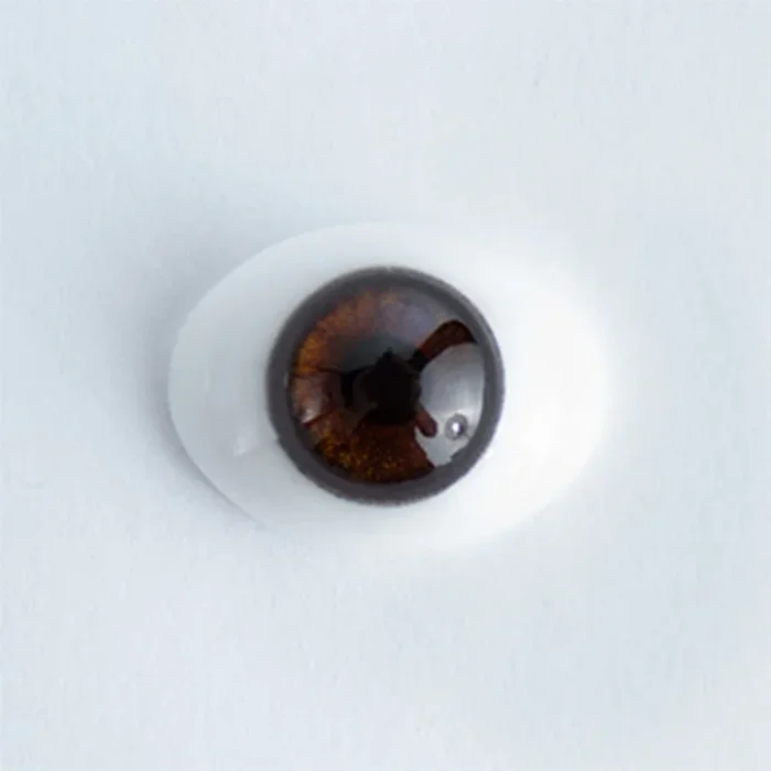 18mm Brown Iris E – Oval Glass Eyes – 1 Pair – #1381