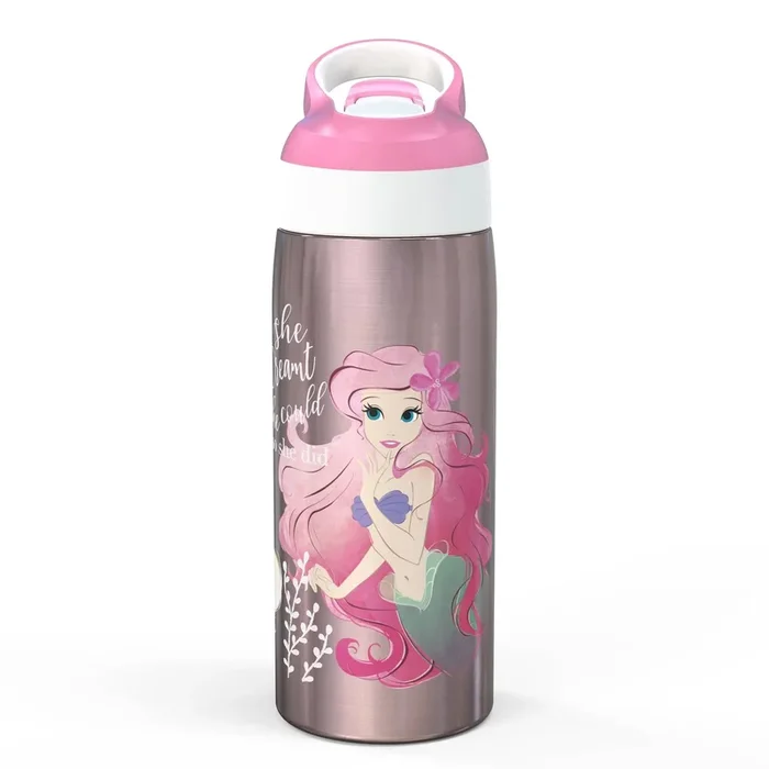 19oz Stainless Steel Double Wall Water Bottle – : Kids Disney Princess, Pink, Dishwasher-Safe, Cold Beverages