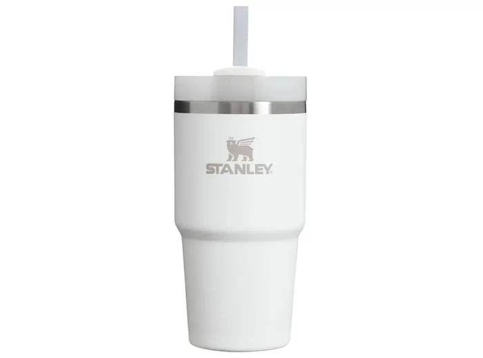 20 oz Stainless Steel H2.0 FlowState Quencher Tumbler Frost