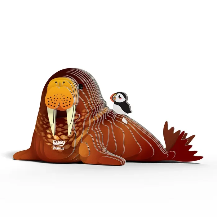 3D Model Kit – Walrus
