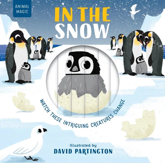 Animal Magic | In the Snow