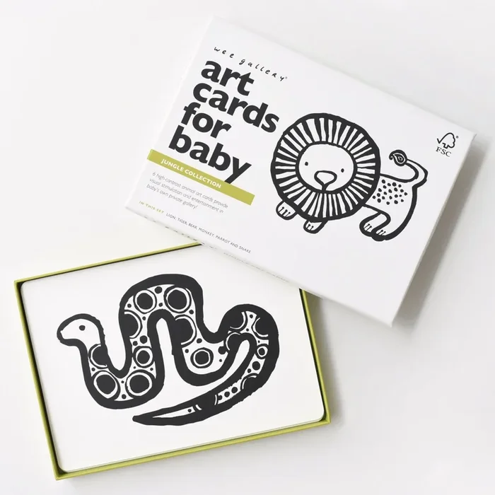 Art Cards for Baby – Jungle Collection