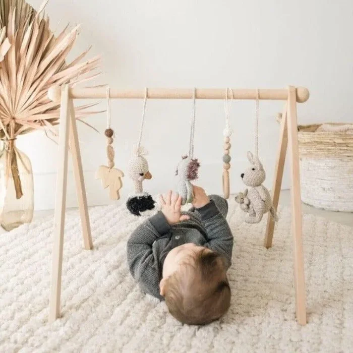 Baby Activity Gym & Crochet Toys