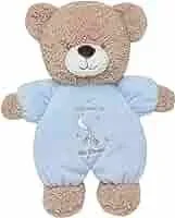 Baby Boys Welcome to the World Plush Bear