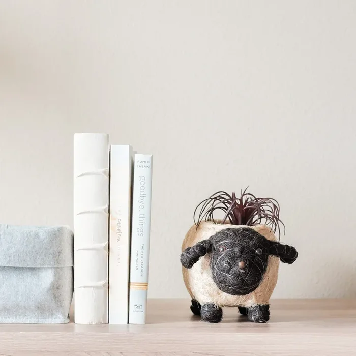 Baby Sheep Planter – Coco Coir Pots | Likhâ