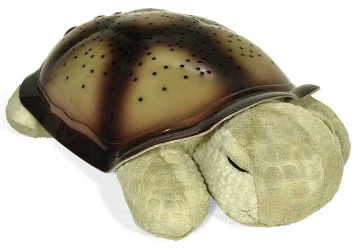 Cloud b Twilight Turtle – Classic