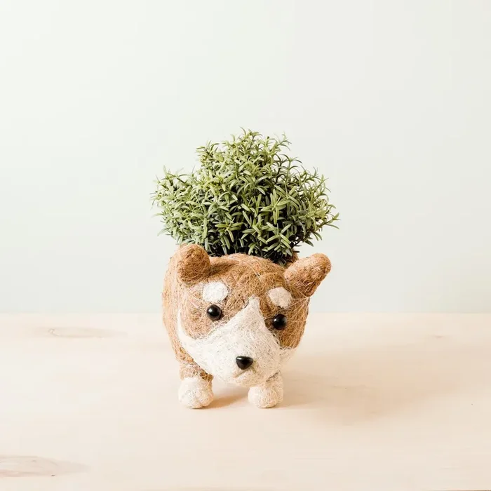 Corgi Succulent Pot – Handmade Planters | Likhâ