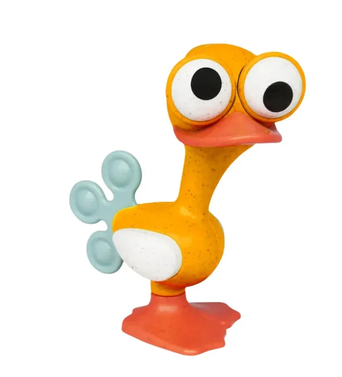 Crazy Eyed Bird
