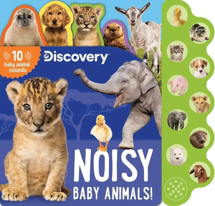 Discovery Kids | Noisy Baby Animals! (10-Button Sound Books)