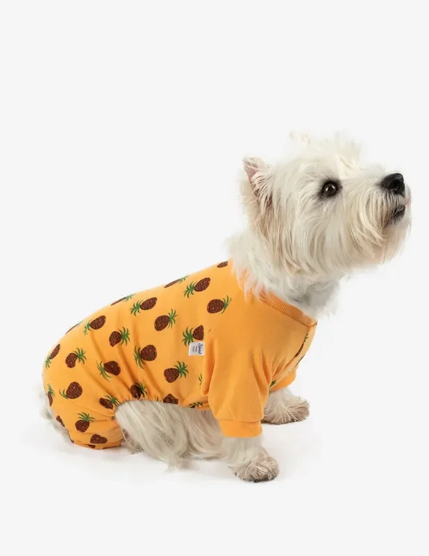Dog’s Pineapple Pajamas