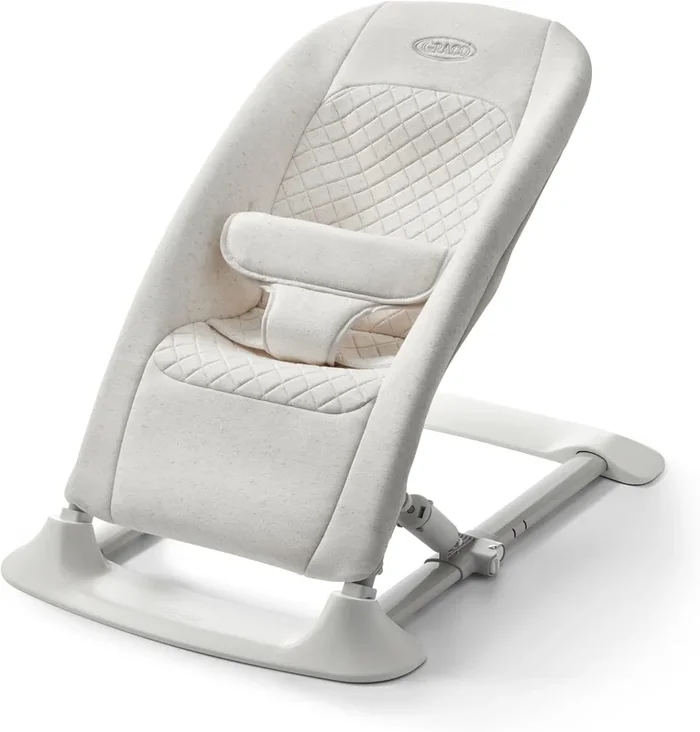 Graco Jumpstart Bouncer & Jumper in Wren