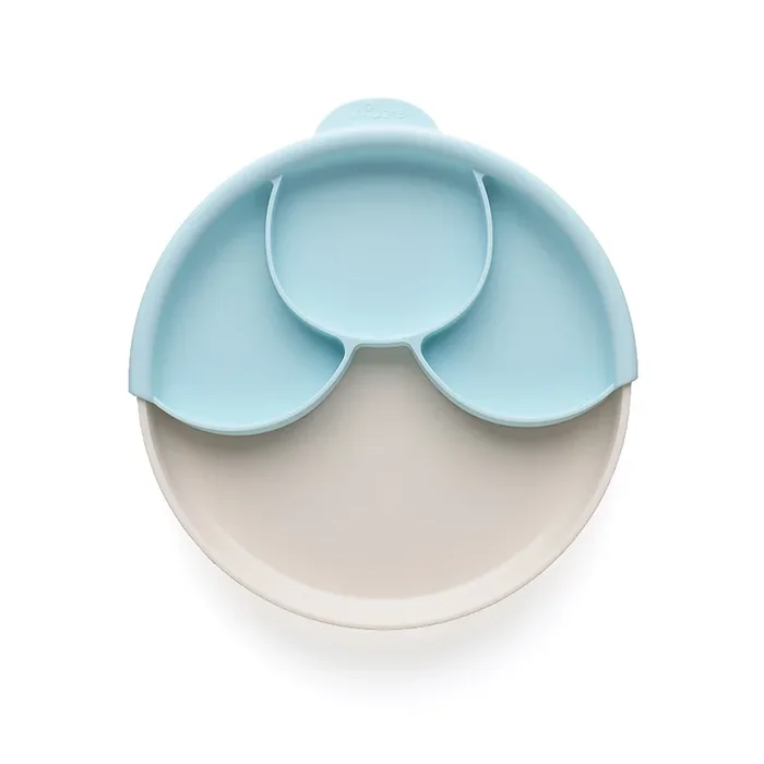 Healthy Meal Plate Set