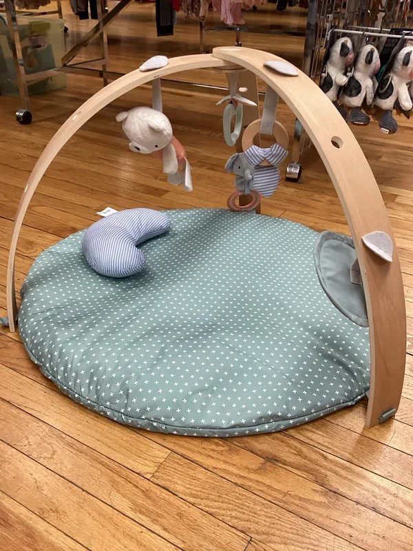 Ingenuity Cozy Spot Reversible Duvet Gym
