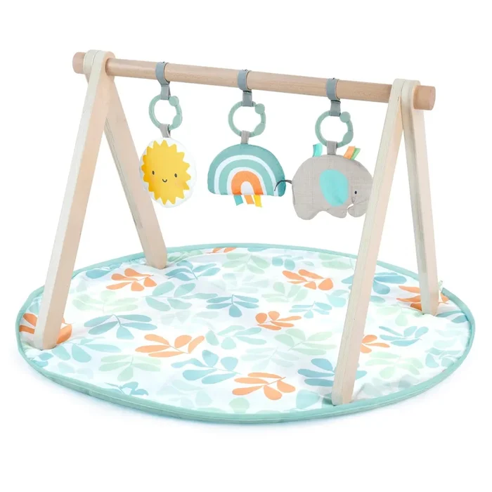 Ingenuity Ity Wood Play Activity Gym
