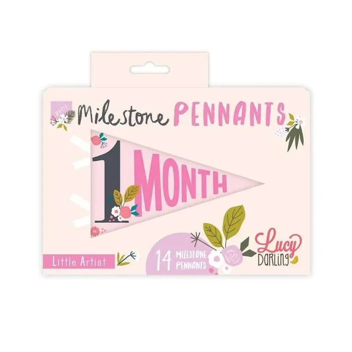 Lucy Darling Petit Milestone Pennant – Little Artist