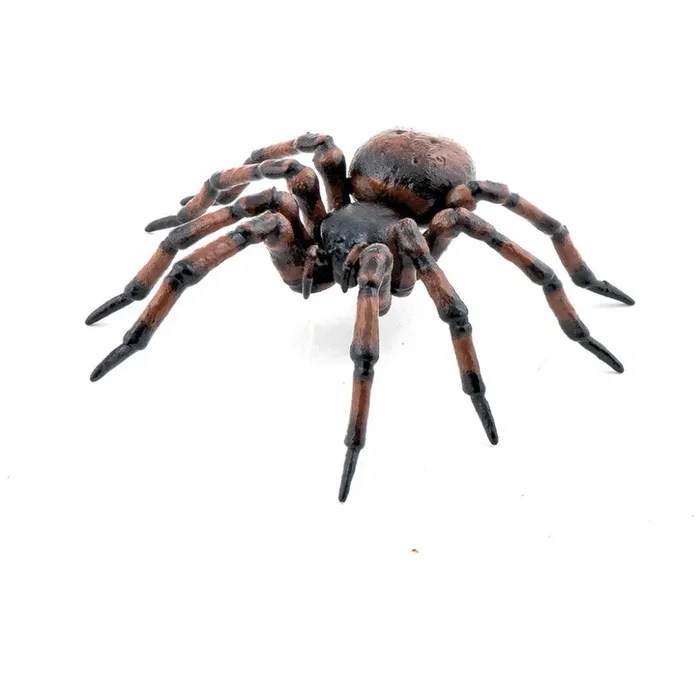 Papo – Common Spider