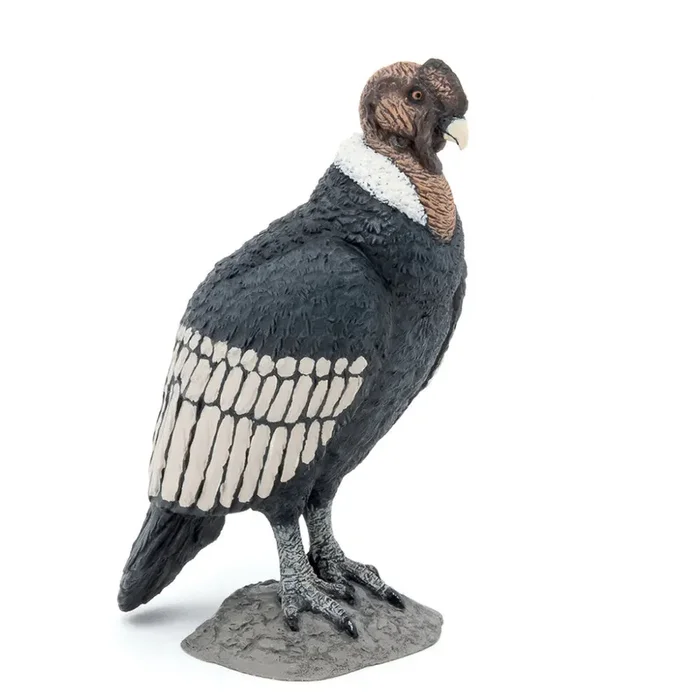Papo – Condor