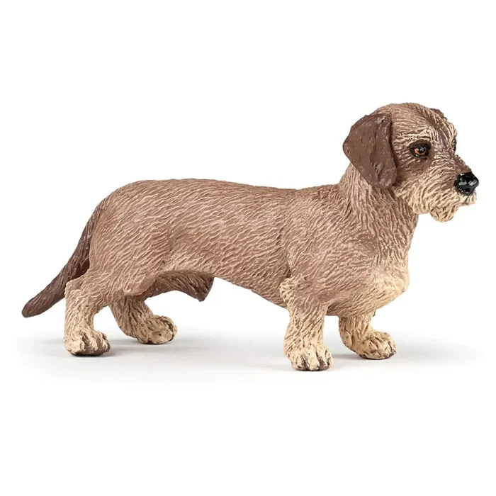 Papo – Dachshund