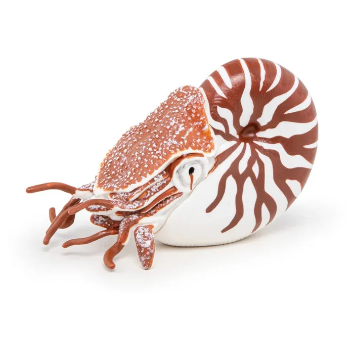 Papo – Nautilus