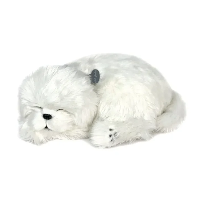 Perfect Pet Maltese