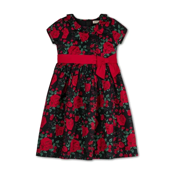 Ruffle Collar Party Dress – Baby