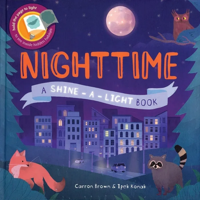 Shine-A-Light Book | Nighttime