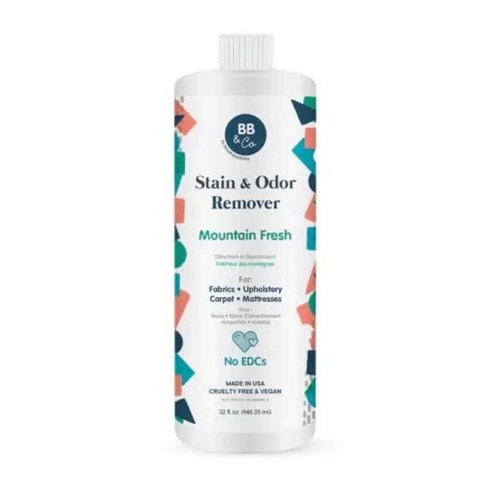 Stain & Odor Remover – Mountain Fresh