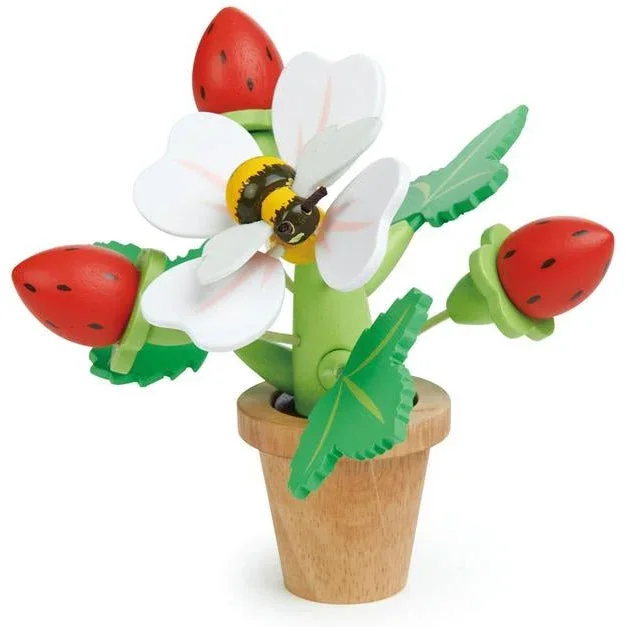Tender Leaf Strawberry Flower Pot