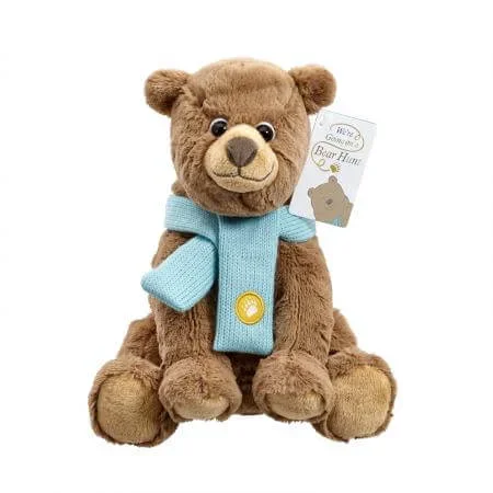 We Are Going On A Bear Hunt – Soft Toy
