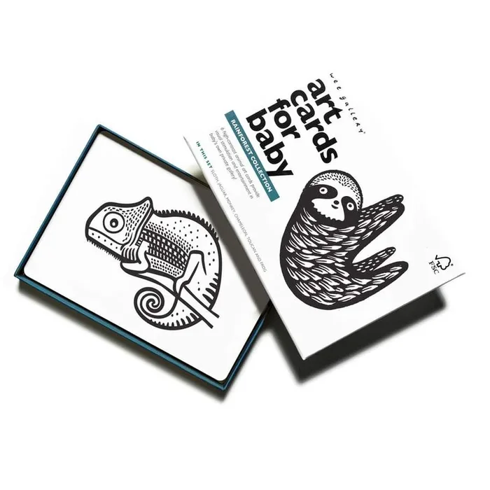 Wee Gallery Art Cards for Baby – Rainforest Collection