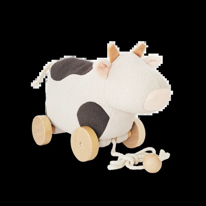 WILLOW // pull-along toy