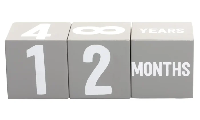 Wooden Baby Milestone Age Blocks | Photo Prop for Baby Photo